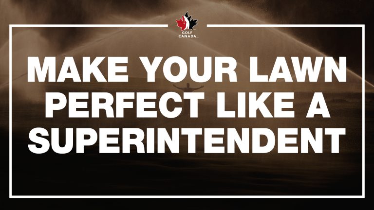 How to make your lawn perfect like a golf superintendent How to make your lawn perfect like a superintendent
