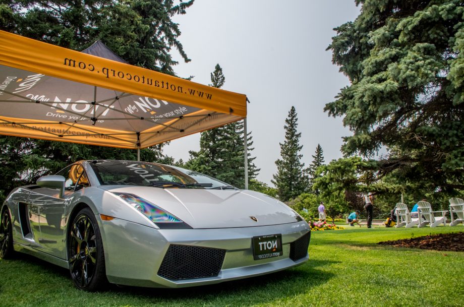 temp alt for theme membership