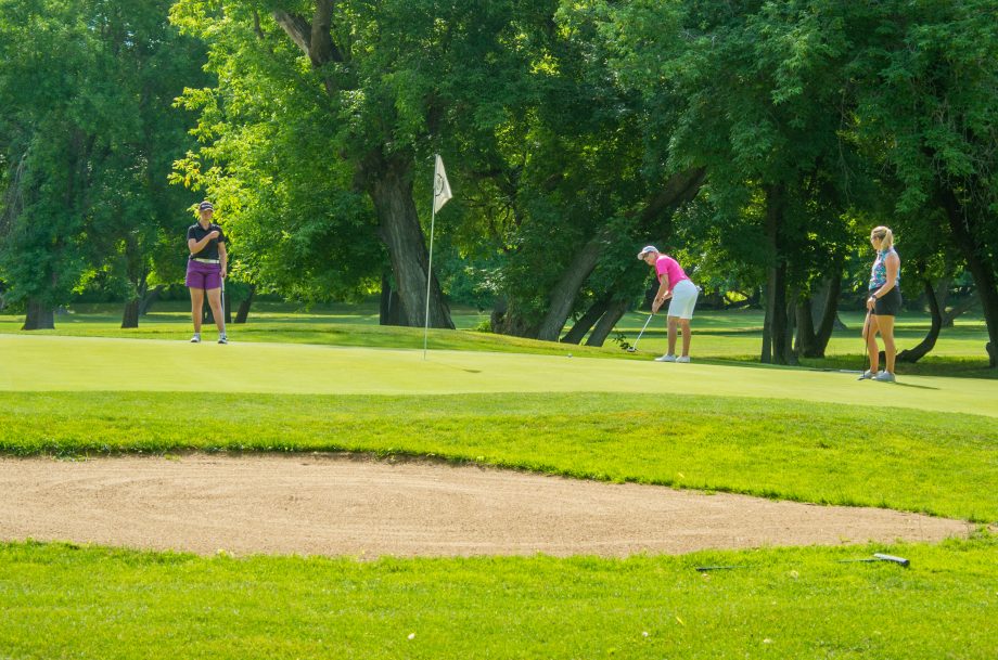 temp alt for theme membership