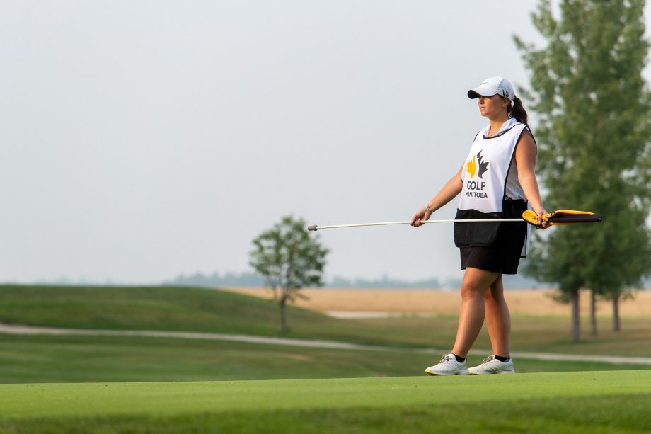 temp alt for theme membership