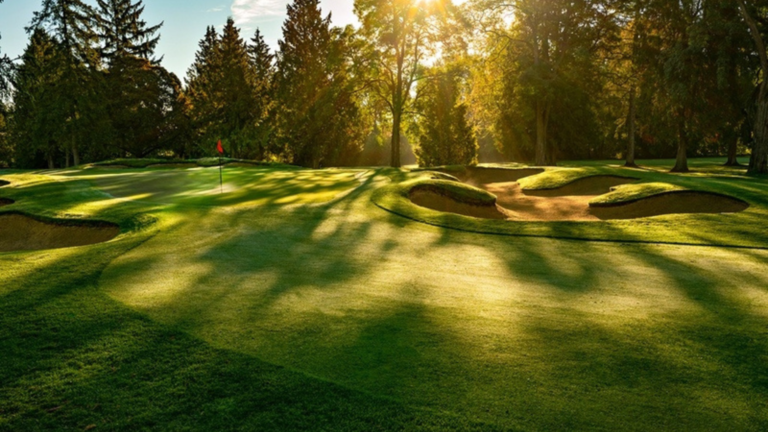 Untitled design (10)