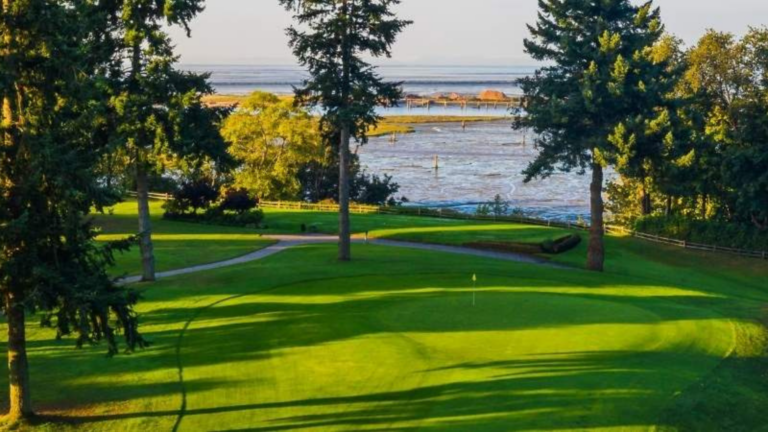 Untitled design (62)