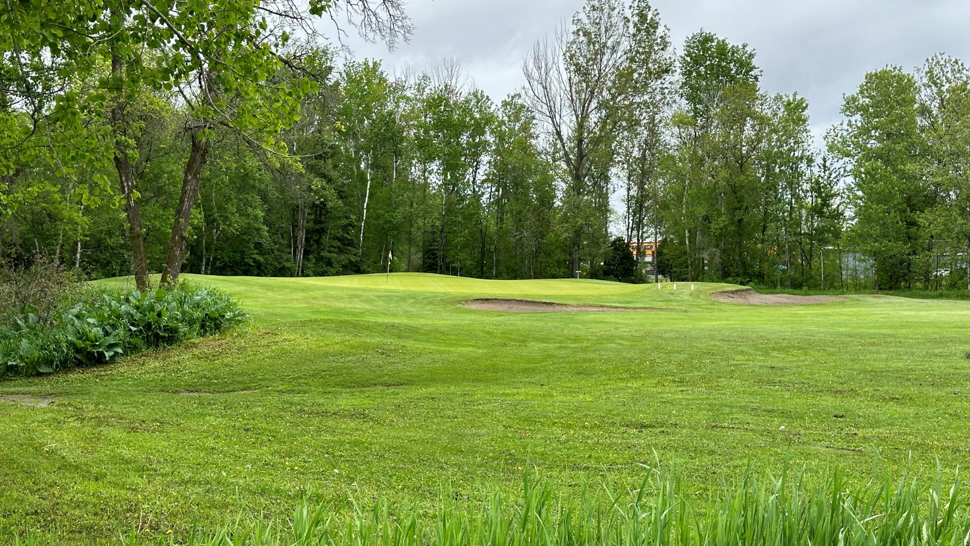 WATCH | Inside the Ropes with Pat Berezowski at Chapples Golf Course ...