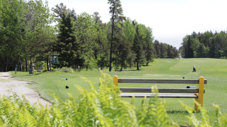 Untitled design (92)