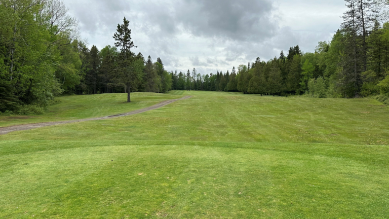 Untitled design – 2024-07-26T112007.588