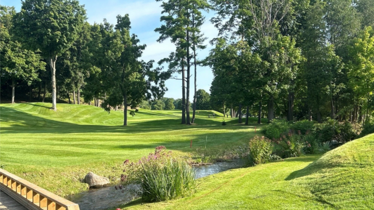 Untitled design – 2024-08-26T100319.347