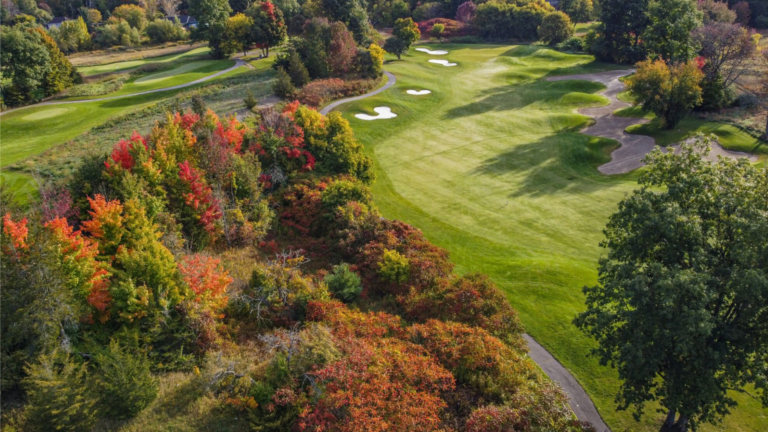 Untitled design – 2024-09-09T150940.051