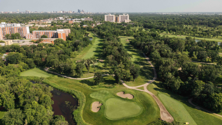 Untitled design – 2024-11-01T110504.134