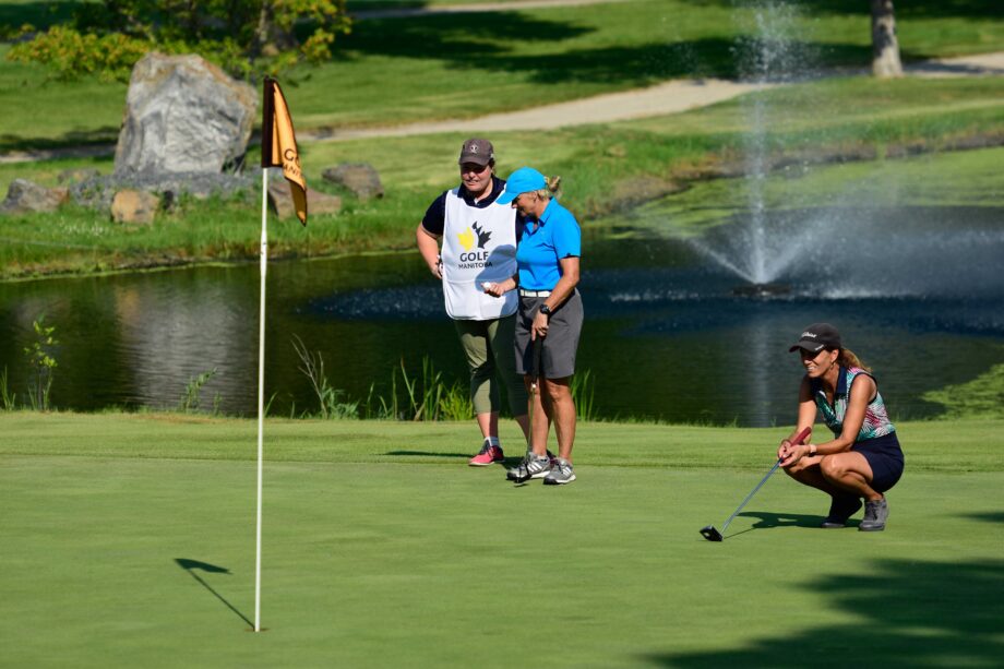 temp alt for theme membership