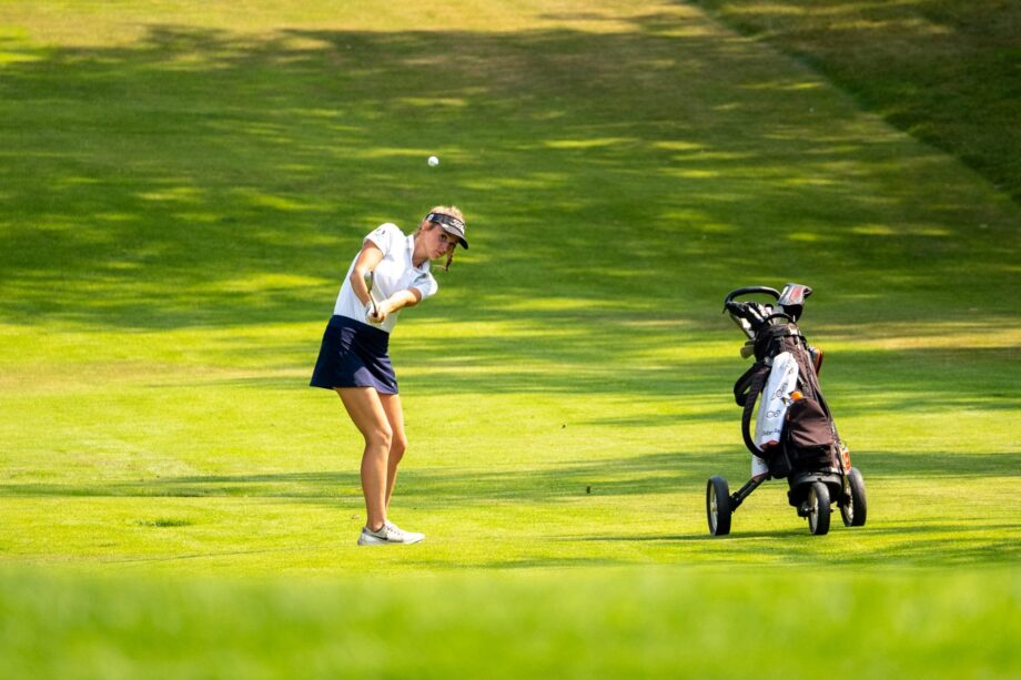 temp alt for theme membership