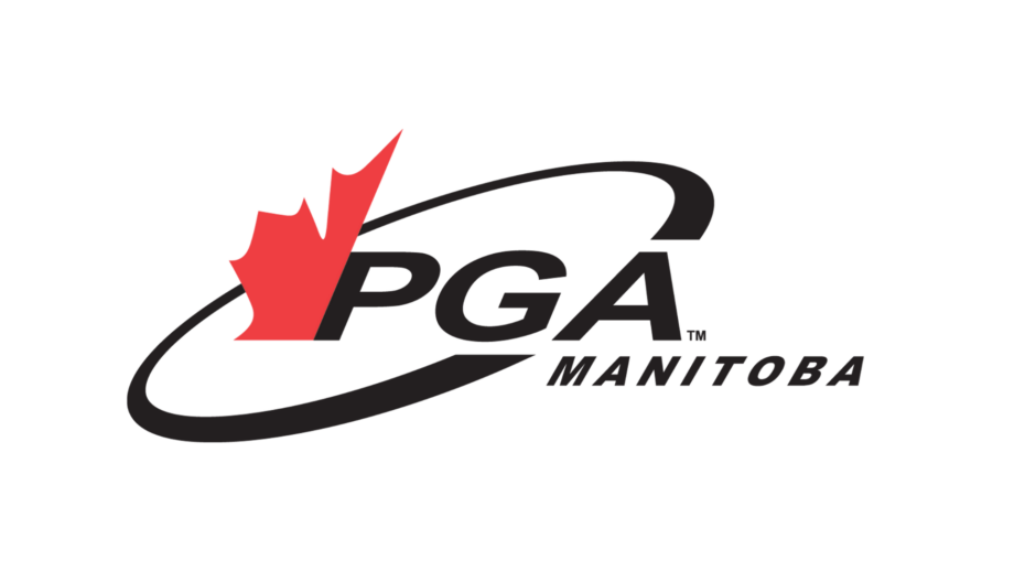 temp alt from theme latest posts