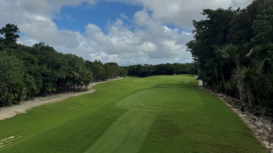 temp alt from theme latest posts