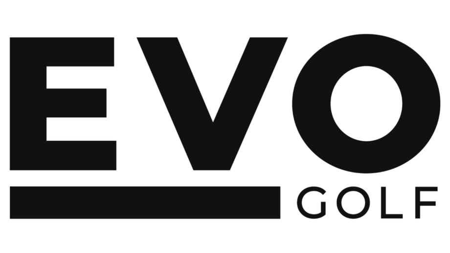 temp alt from theme latest posts