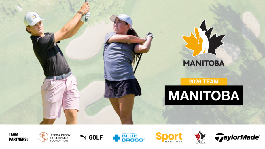 temp alt from theme latest posts