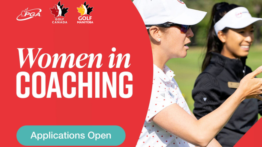 temp alt from theme latest posts