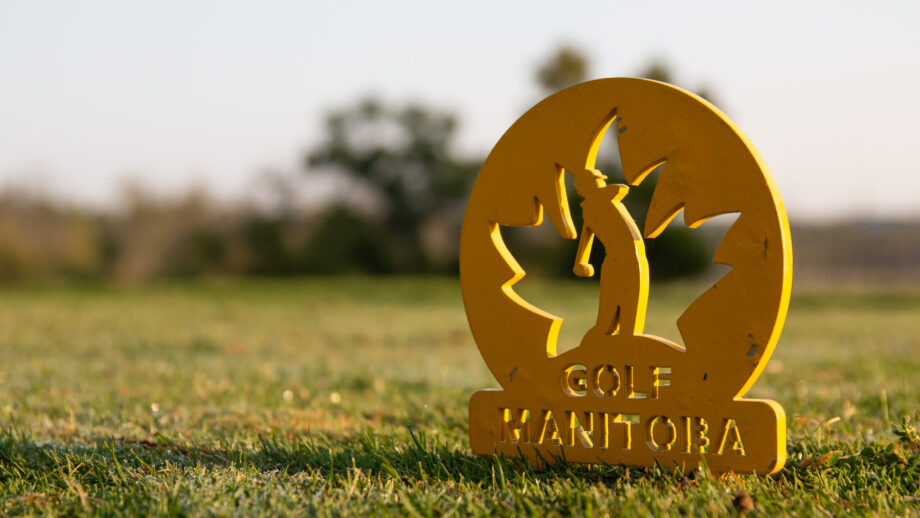 temp alt from theme latest posts