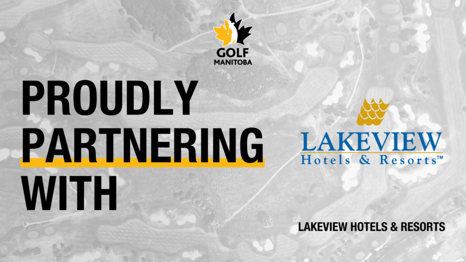 temp alt from theme latest posts