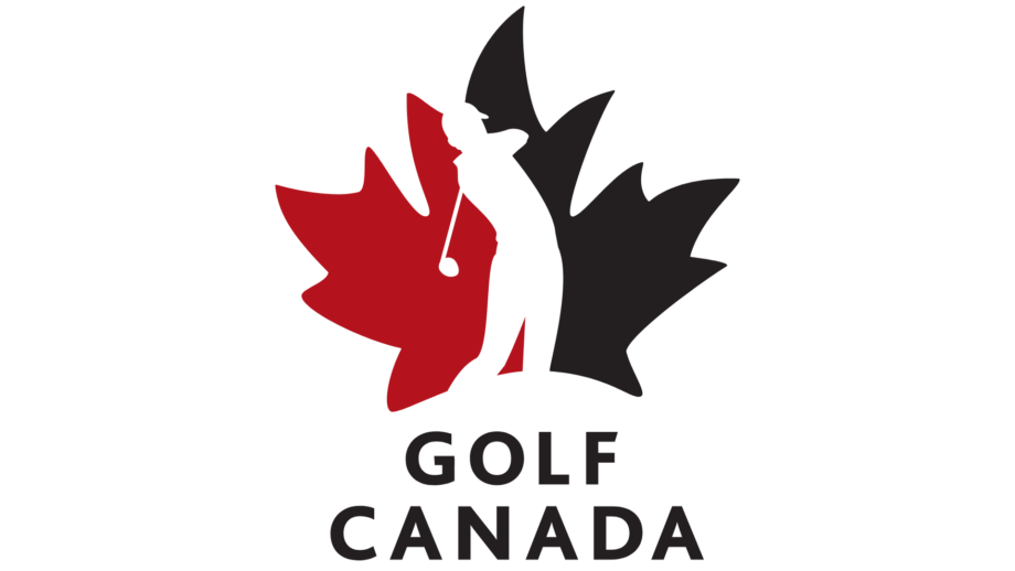 temp alt from theme latest posts