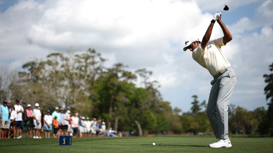 temp alt from theme latest posts