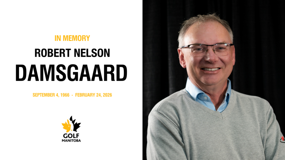 temp alt from theme latest posts