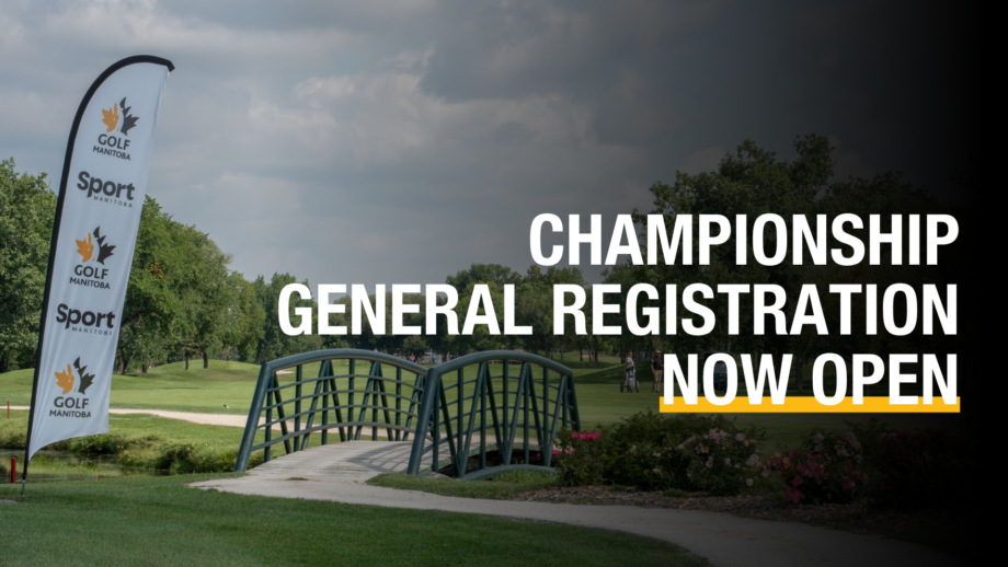 temp alt from theme latest posts