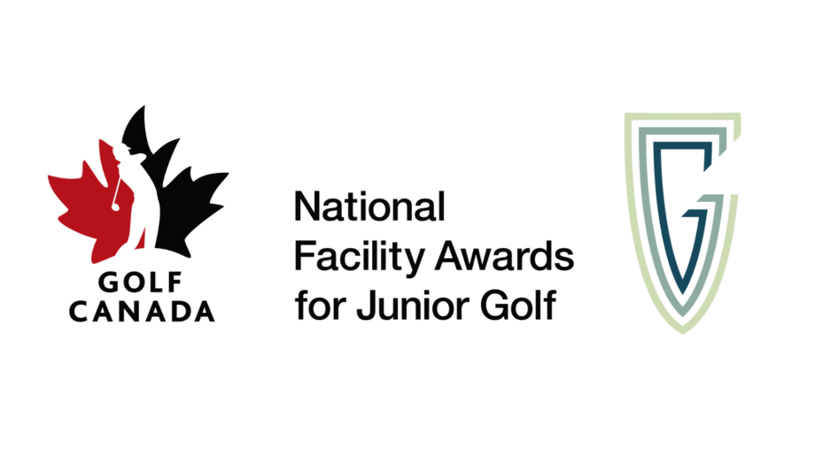 temp alt from theme latest posts