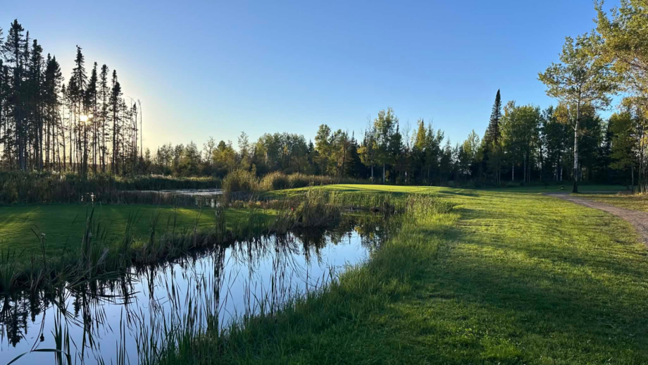 temp alt from theme latest posts