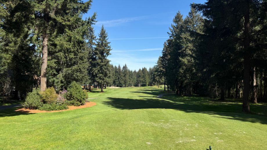 temp alt from theme latest posts