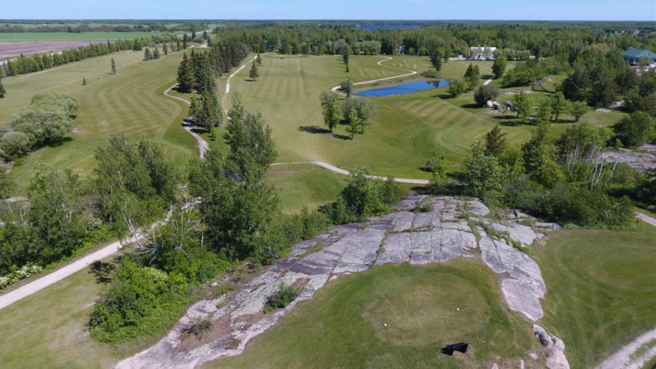 temp alt from theme latest posts