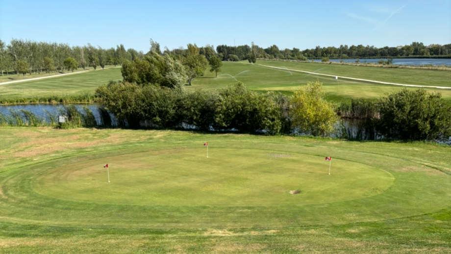 temp alt from theme latest posts