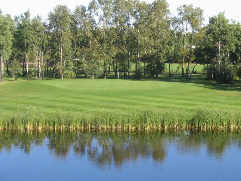 PREVIEW | Oakwood Golf Course hosts Taylor McCaffrey Women's Four-Ball Championship 492000283_1237517061711437_4088576562639589943_n